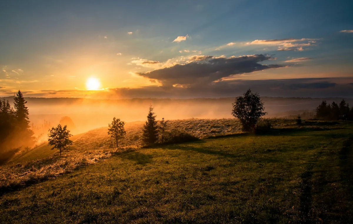 Early morning light over a quiet landscape